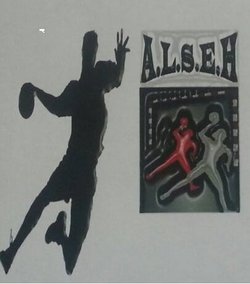 logo du club Amicale Laique Saint Eloy Handball