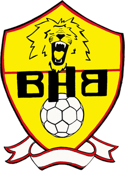 logo du club Bray Handball