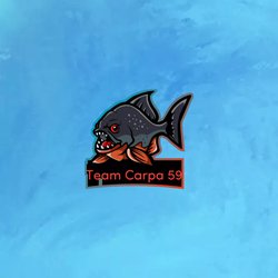 logo du club Team Carpa 59