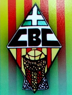 logo du club CLUB BÀSQUET CALAFELL