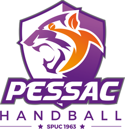 logo du club Centre Social de Pessac