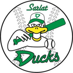 logo du club DUCKS DE SARLAT