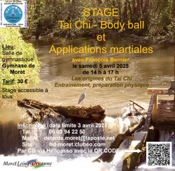 STAGE TAI CHI-BODY BALL et APPLICATIONS MARTIALES
