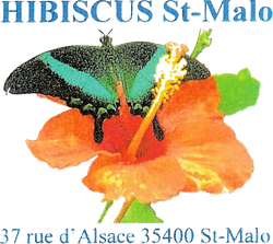 logo du club Hibiscus