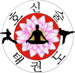 logo du club Hoshinsoul Taekwondo