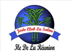 logo du club JUDO CLUB LA SALINE