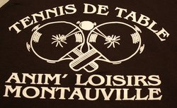 logo du club TENNIS DE TABLE MONTAUVILLE