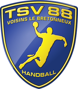 logo du club Team Sport Vicinois 88 Handball