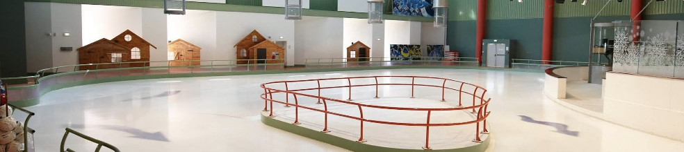 Association Choletaise de Patinage sur Glace ⛸ : site officiel du club de sports de glace de CHOLET - clubeo