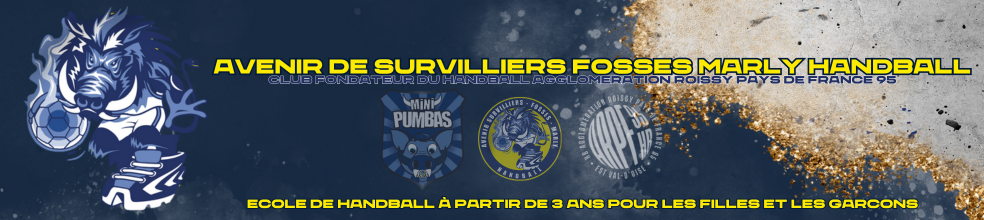 Avenir de Survilliers Fosses Marly Handball : site officiel du club de handball de Survilliers - clubeo