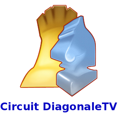 Logo_Circuit_DiagonaleTV-1.png