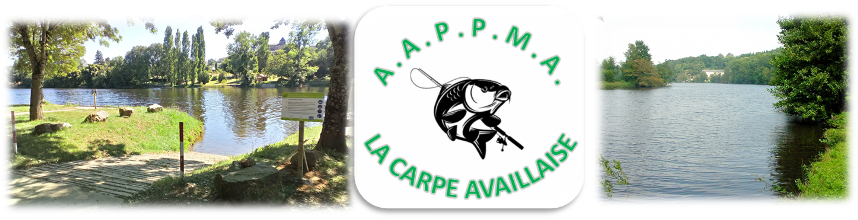 AAPPMA LA CARPE AVAILLAISE : site officiel du club de pêche de AVAILLES LIMOUZINE - clubeo