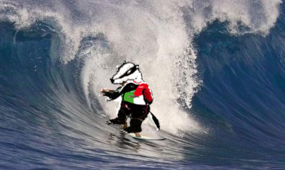 2017 blaireau maillot sur surf.jpg