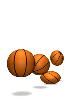 basket3-(3).gif